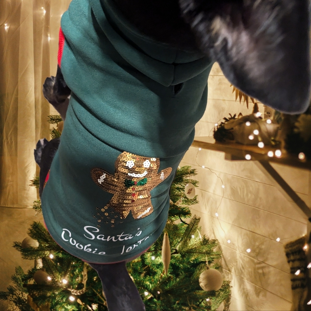 Festive Green Dog Hoodie with Sequin Gingerbread